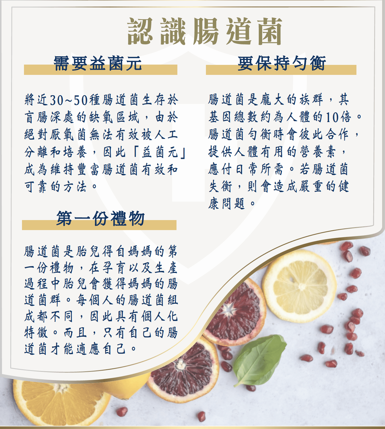 適益 益菌元 益生菌　益生元